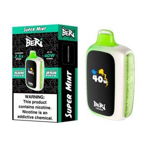 Beri Crush 50K Puff Disposable Super Mint – Puffezee