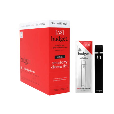 Budget 1G Disposable - 10PK