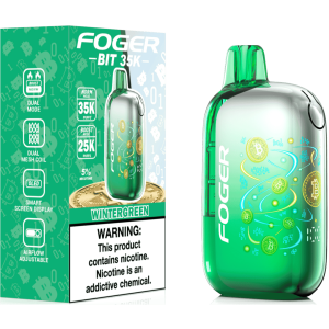 Foger BIT 35K Puff Disposable WinterGreen – Puffezee