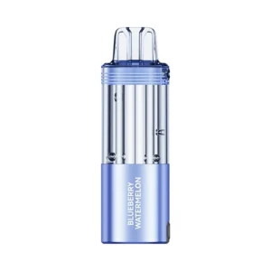 Foger Switch Pro 30K Puff Prefilled Pod Cartridge 1PK Blueberry Watermelon – Puffezee