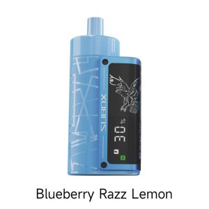 Kanger SUBOX 50K Puff Disposable Blueberry Razz Lemon – Puffezee