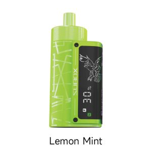 Kanger SUBOX 50K Puff Disposable Lemon Mint – Puffezee