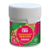 Only CBD Gummies Jar 1000MG Watermelon Waves – Puffezee