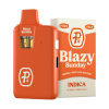 Perfect Pure Pushin P's Pure THC-P Pod Kit - 1G – buy online at Puffezee