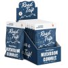 Road Trip Desert Stardust Mushroom Gummies 2PK - 30CT at Puffezee – image 2