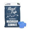 Road Trip Desert Stardust Mushroom Gummies at Puffezee – image 5