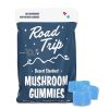 Road Trip Desert Stardust Mushroom Gummies at Puffezee – image 9
