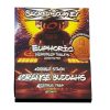 Sacred Journey Euphoric HippyFlip Mushroom Blend Tablets 2750MG - 20CT at Puffezee – image 2