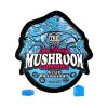 TRĒ House Extra Strength Magic Mushroom Blend Gummies - 10COUNT at Puffezee – image 2