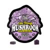 TRĒ House Extra Strength Magic Mushroom Blend Gummies - 10COUNT at Puffezee – image 6