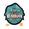 TRĒ House Extra Strength Magic Mushroom Blend Gummies - 10COUNT at Puffezee – image 7