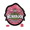 TRĒ House Extra Strength Magic Mushroom Blend Gummies - 10COUNT at Puffezee – image 8
