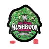 TRĒ House Extra Strength Magic Mushroom Blend Gummies - 10COUNT at Puffezee – image 9