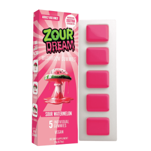 Zour Dream Mind Melting Mushroom Gummies at Puffezee