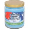 Smoke Odor 13oz Candle – buy online at Puffezee