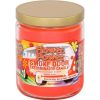 Smoke Odor 13oz Candle – buy online at Puffezee