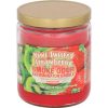Smoke Odor 13oz Candle at Puffezee – image 9