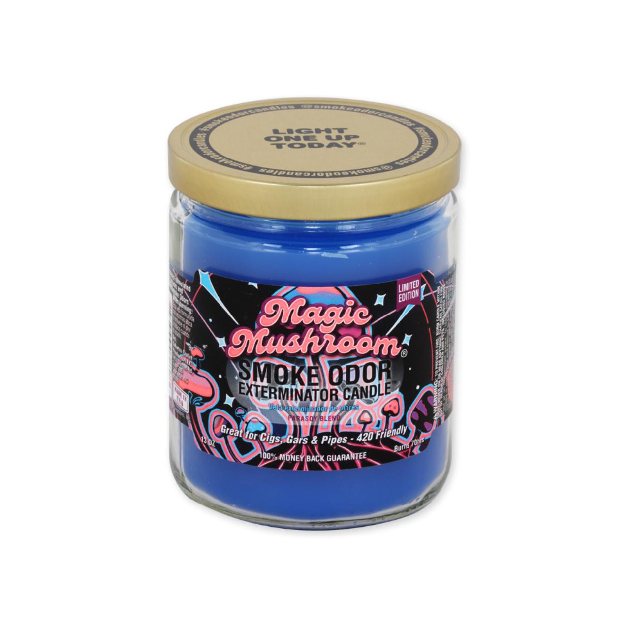 Smoke Odor 13oz Candle - Image 22