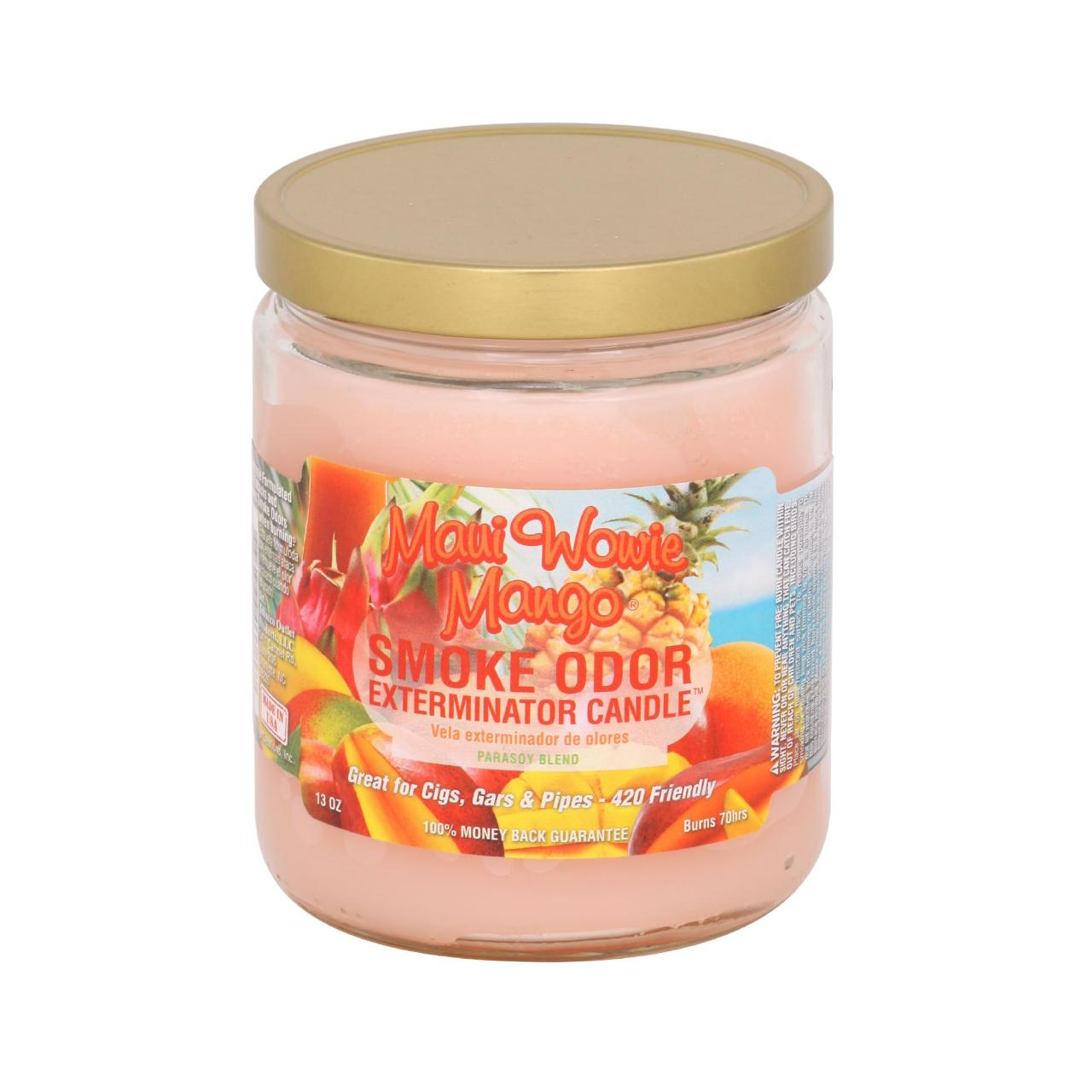 Smoke Odor 13oz Candle - Image 21