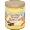 Smoke Odor 13oz Candle – buy online at Puffezee