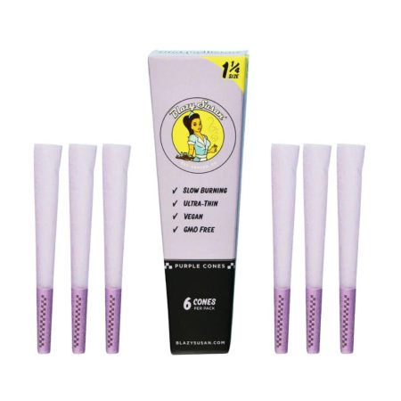 Blazy Susan Purple Cones 1PK