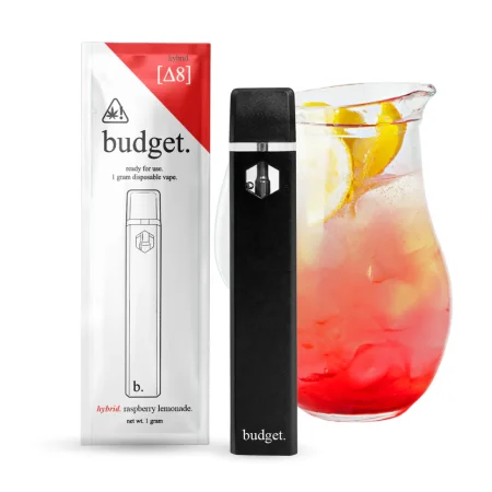 Budget Starter Box 1G Disposable - 30PK