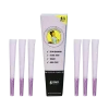 Blazy Susan Purple Cones 1PK