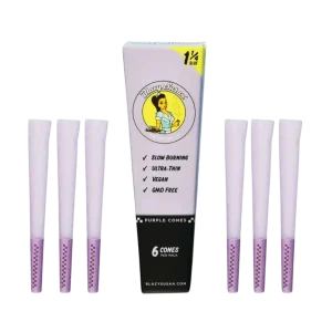 Blazy Susan Purple Cones 1PK
