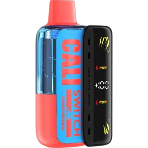 Cali Switch Kit 50K Puff Disposable - Blueberry Watermelon