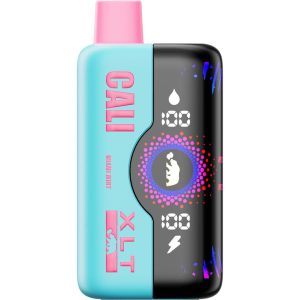 Cali XLT 40,000 Puff Disposable - Miami Mint