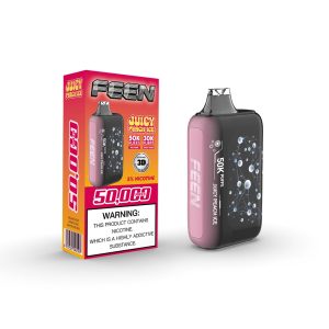 Feen 50K Puff Disposable - Juicy Peach Ice