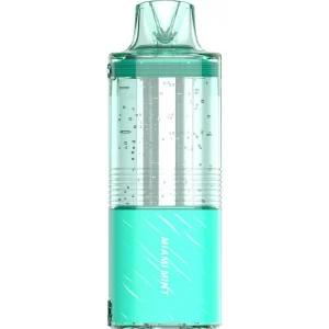 Fogest XP 40K Puff Zero Nicotine Disposable - Miami Mint