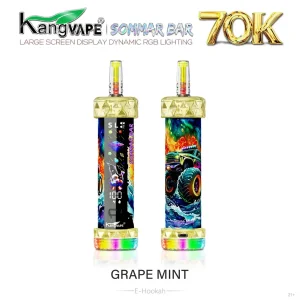 Kangvape Sommar Bar E-Hookah 70K Puff Disposable - Grape Mint