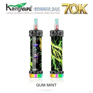 Kangvape Sommar Bar E-Hookah 70K Puff Disposable - Gum Mint