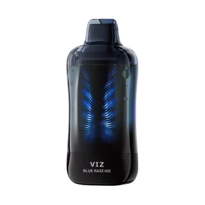Lost Mary VIZ 55K Disposable - Blue Razz Ice