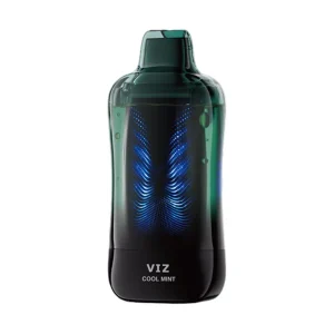 Lost Mary VIZ 55K Disposable - Cool Mint