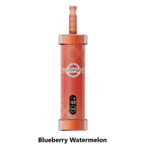 MFU SHISHA X2 Hookah 60,000 Puff Disposable - Blueberry Watermelon