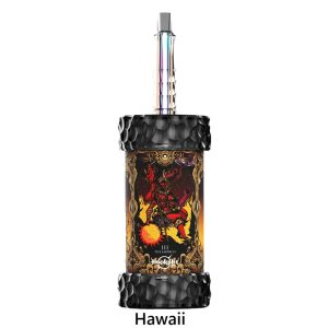 OLIT Hookalit 200K Puff Disposable - Hawaii